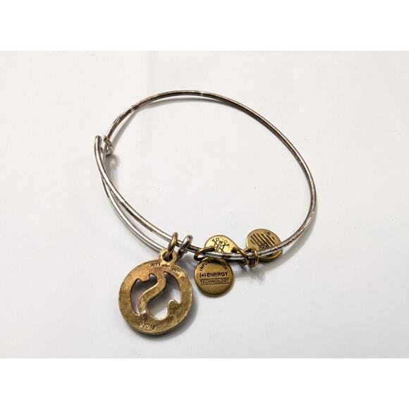 Alex & Ani Initial Letter S Charms Two-Tone Bracelet Non-Magnetic Cut Out - Picture 2 of 3